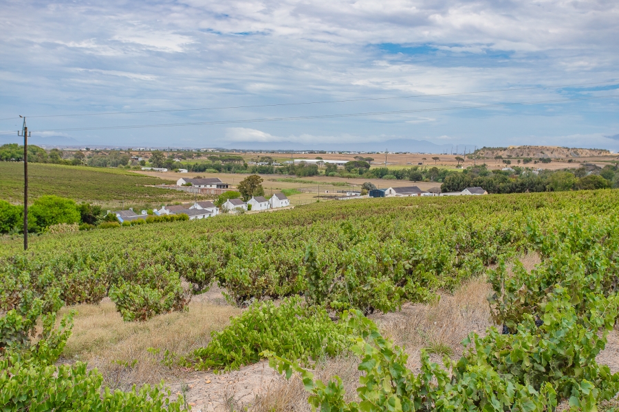 6 Bedroom Property for Sale in Lyndoch Western Cape